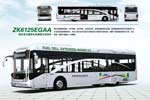 宇通客車ZK6125EGAA