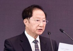 2020前景如何？——陳清泰：新能源大浪淘沙階段要堅定信心