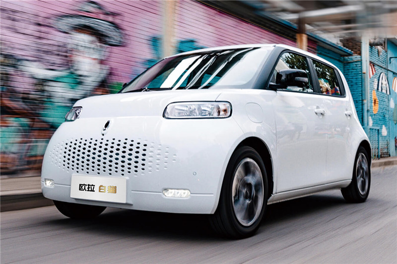 歐拉白貓 2020款 360km 標(biāo)準(zhǔn)型