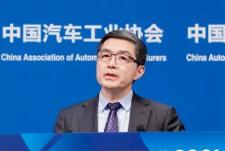 歐陽明高：“風電、光伏”發(fā)電制氫，促進經濟高質量增長