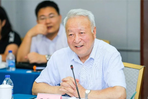 訪談錄|王秉剛：關(guān)于碳排放、氫重卡等五大熱點(diǎn)問題的思考