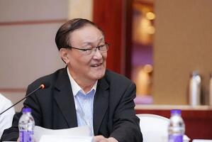 安慶衡：首次提出“新汽車產(chǎn)業(yè)”概念，有何玄機？