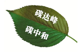 郭孔輝：碳達(dá)峰、碳中和目標(biāo)下商用車減排的現(xiàn)狀及趨勢(shì)