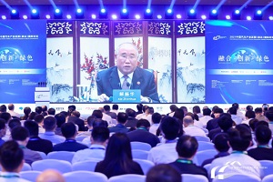 解振華：上半年增加110多萬輛新能源車 零碳轉(zhuǎn)型