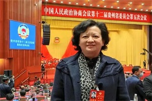 貴州省政協(xié)委員林倩：大力推動(dòng)貴州氫能產(chǎn)業(yè)發(fā)展