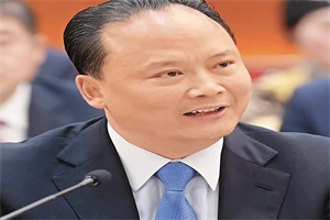全國(guó)人大代表劉漢元：進(jìn)一步加快構(gòu)建智慧電網(wǎng)