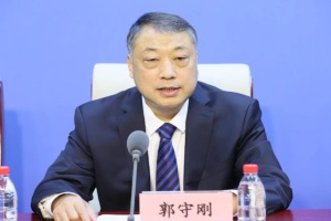 工信部郭守剛：組織好新能源汽車下鄉(xiāng)活動