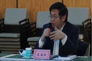 高海翔：電動汽車參與市場化需求響應(yīng)的規(guī)則與思考