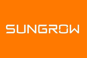 合肥陽(yáng)光電動(dòng)力科技有限公司