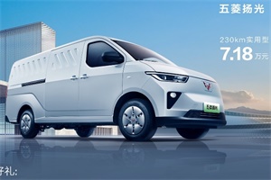 售7.18萬元起，五菱揚(yáng)光新能源商用車正式上市!