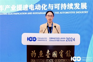 2024百人會(huì)|寶馬集團(tuán)副總裁吳燕彥：氫能源車已做批量生產(chǎn)準(zhǔn)備