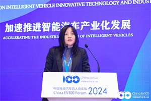2024百人會(huì)|博世張穎：擁抱變革，智啟未來(lái)