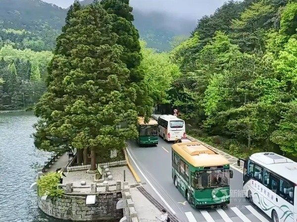 格力鈦新能源鐺鐺車(chē)