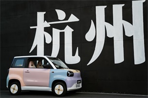 知豆汽車攜手認養(yǎng)一頭牛，引領品質出行新風尚