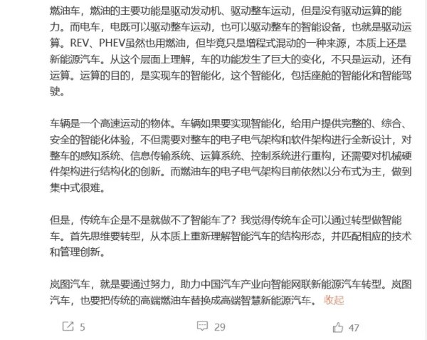 嵐圖汽車CEO盧放
