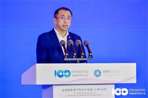 嵐圖汽車CEO盧放：深耕海外戰(zhàn)略市場，逐步打造全球化公司