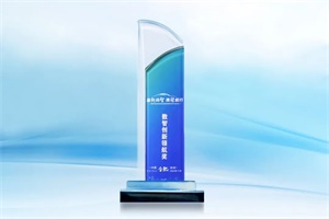 陽(yáng)光電動(dòng)力持續(xù)深耕專業(yè)技術(shù) 榮獲“數(shù)智創(chuàng)新領(lǐng)航獎(jiǎng)”