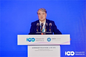 孫曉紅：全球南方新能源市場應(yīng)重點(diǎn)關(guān)注