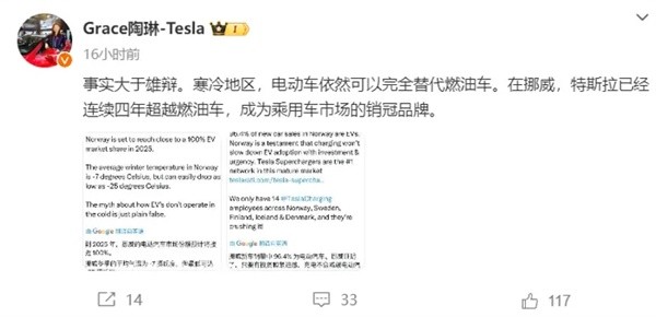 特斯拉副總裁陶琳