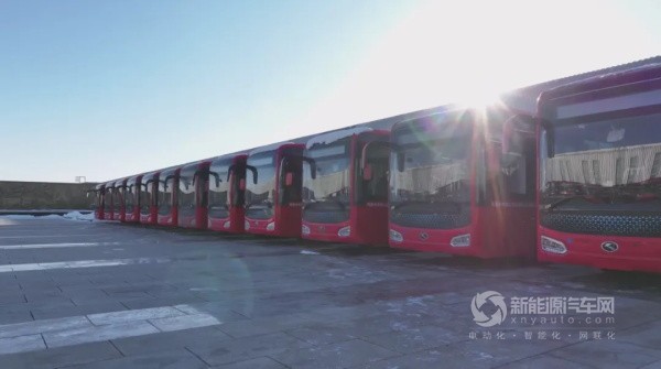 金龍純電動公交車