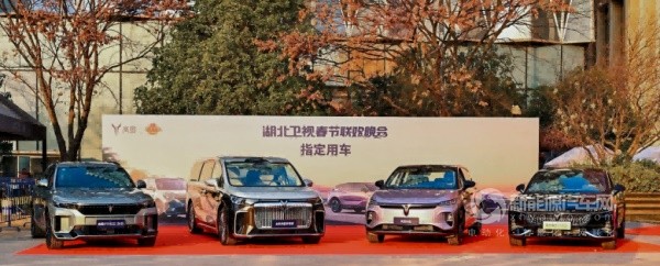 嵐圖汽車