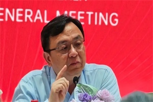 比亞迪王傳福:今年海外銷量數(shù)據(jù)會非常好 將密集推出智能駕駛技術(shù)