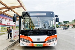 中車(chē)純電公交駛?cè)肫斩?，綠色引擎串起茶咖香徑