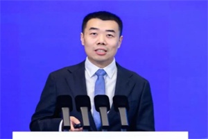 嵐圖高源：以全球化戰(zhàn)略深耕新能源出海，2030 年劍指 60 國市場