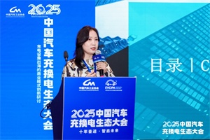 潘林：從“賣設(shè)備” 到 “系統(tǒng)輸出”!中國“綠色園區(qū)+充換電”方案賦能全球低碳基建