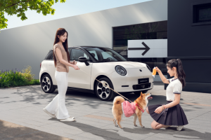 2025款釔為3：年輕人的第一臺“寶藏車”
