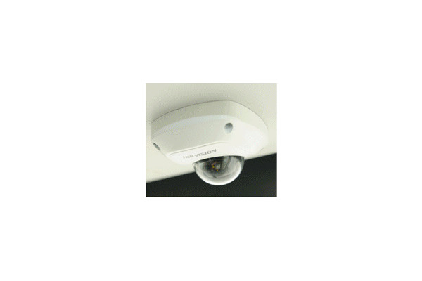 長(zhǎng)江FDE6120PDABEV06公交車(chē)（純電動(dòng)10-42座）